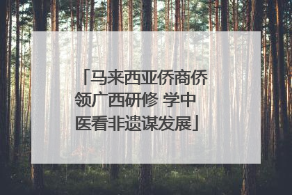 马来西亚侨商侨领广西研修 学中医看非遗谋发展